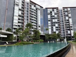 Affinity At Serangoon (D19), Apartment #572659901